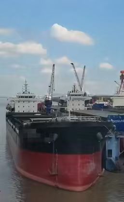 2021-16100T-散貨船