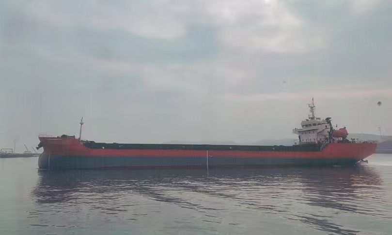 2017年-9000t-散貨船